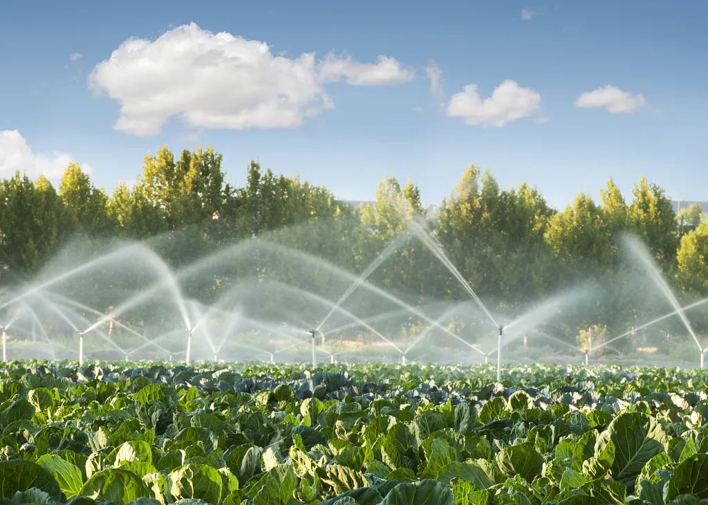 天津市寧河區(qū)積極推進農(nóng)業(yè)節(jié)水灌溉工作 增產(chǎn)增