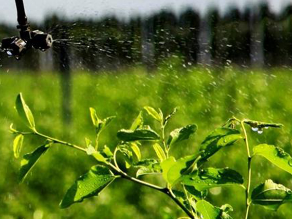 智慧農(nóng)業(yè)的全面普及，還有多久？